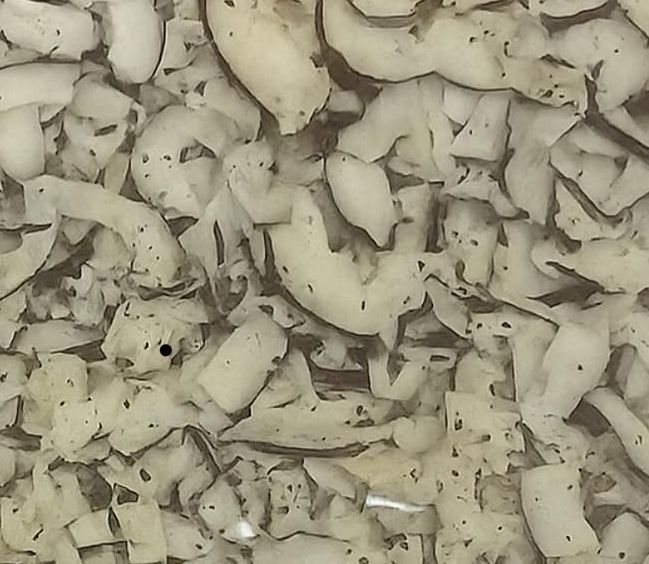Dried Coconut
